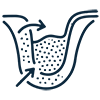 Bone Grafting and Sinus Lift Procedures