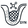 Synthetic Bone Graft